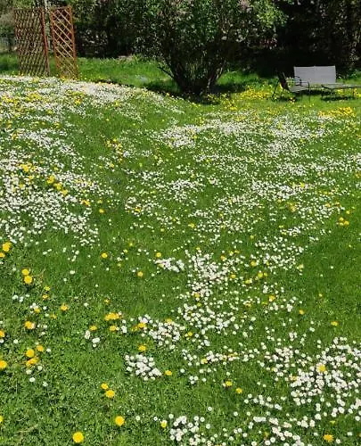 Δωμάτια σε οικογενειακή κατοικία Grzeda Komarno